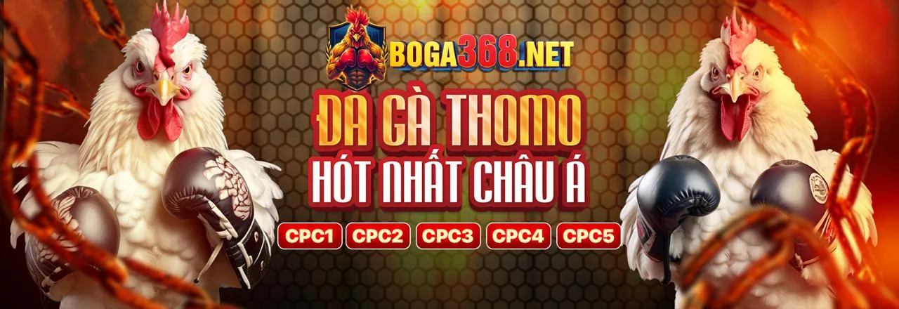 Chuyên gia phân tích đá gà dagathomo hôm nay